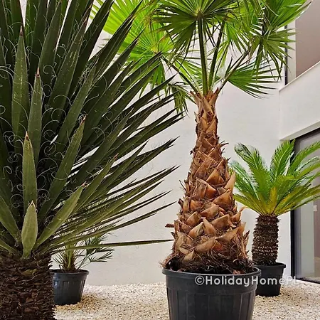 דירה Holidayhomepl Baltic Waves A422 Z Osobna Sypialnia I Balkonem, Gratis Basen, Sauna, Gym *